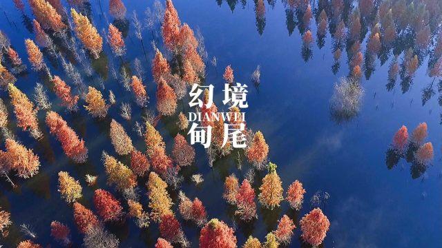 渤海轮渡(603167.SH)：2023年净利润预增46.78%到60.35%