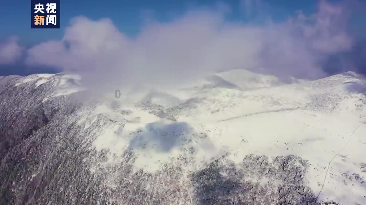 海岛大亨3