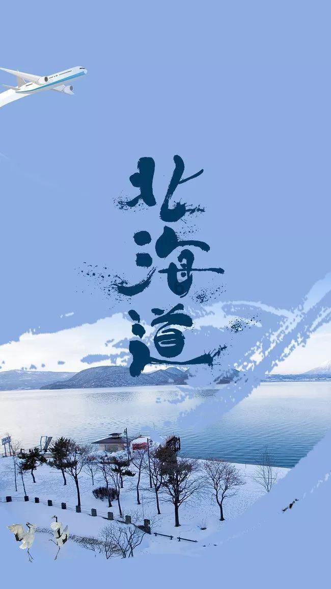 小猫钓鱼正版下载中文版