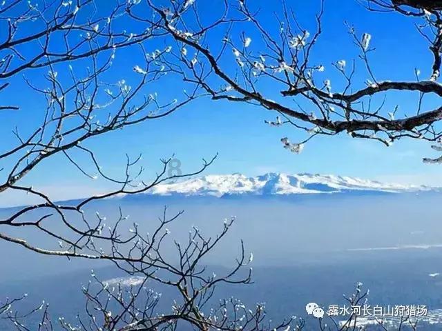 三位一体3