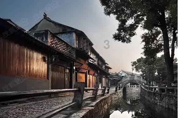 金毛夫妇上演秀恩爱 这狗粮吃得我心服口服