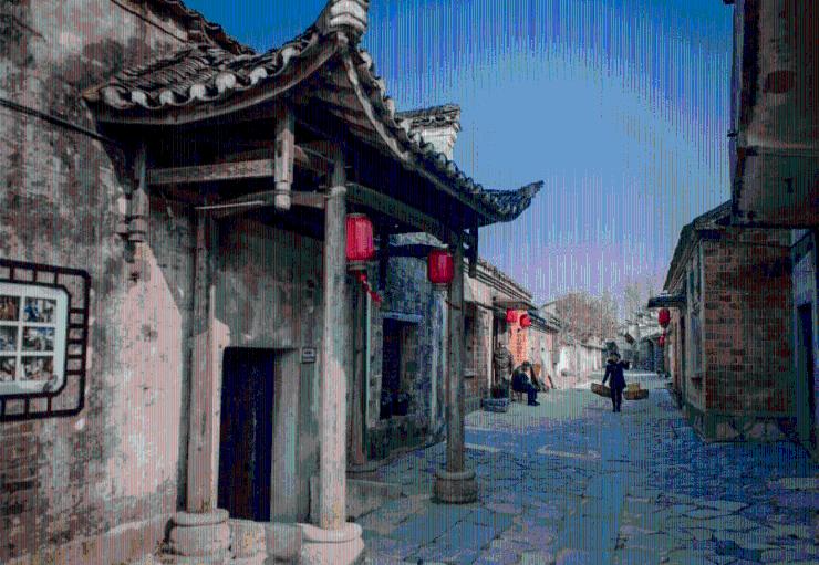 寻找火鸡