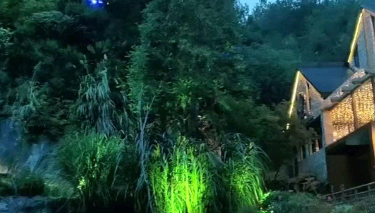 【神农架首届网评大赛55】东湖评论:好生态为神农架带来好“钱”景